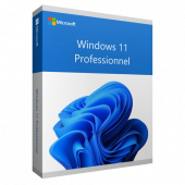 Microsoft Windows 11 Pro