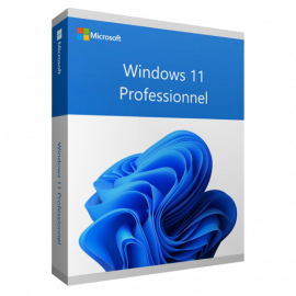 Microsoft Windows 11 Pro