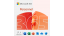 Microsoft 365 Personnel Copilot